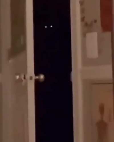 Если тебе вдруг стало одиноко