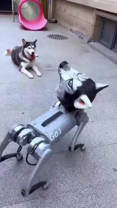 Terminator: Machine Dog. This is nowhere near uncanny valley