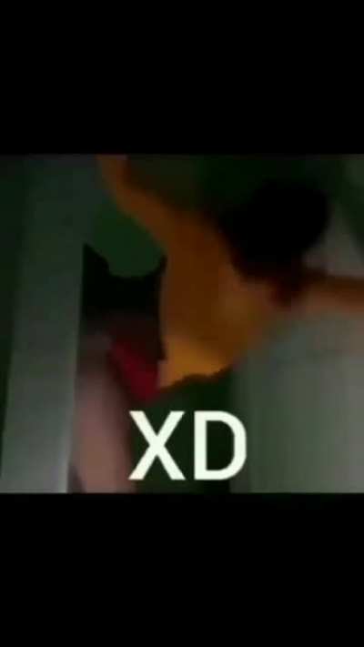 No scooby