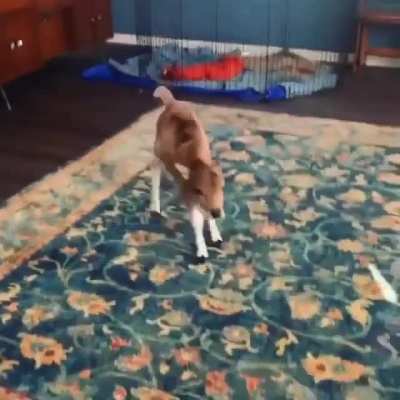 Energetic Baby