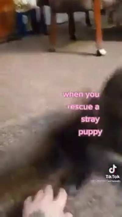 Home defense +100