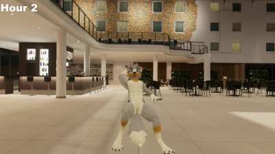 The inevitability of the VR Chat user