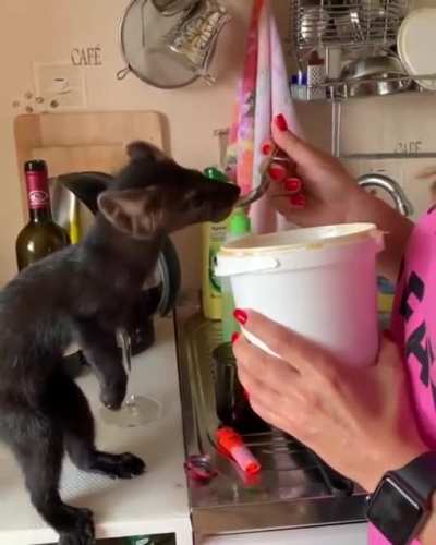Вкусняшка