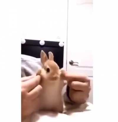 Jeannie dancing&amp;gt; than rabbit dancing, but this is pretty cute