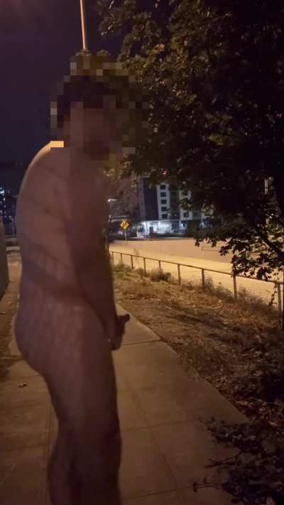 public bros