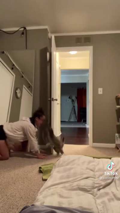 Hide and seek