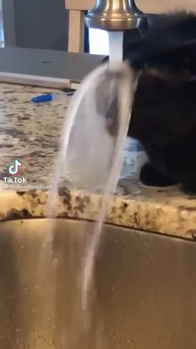 He is doing his best