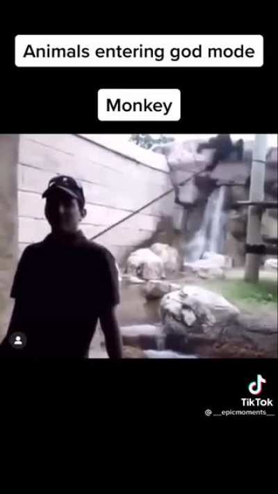 Monkey🔥