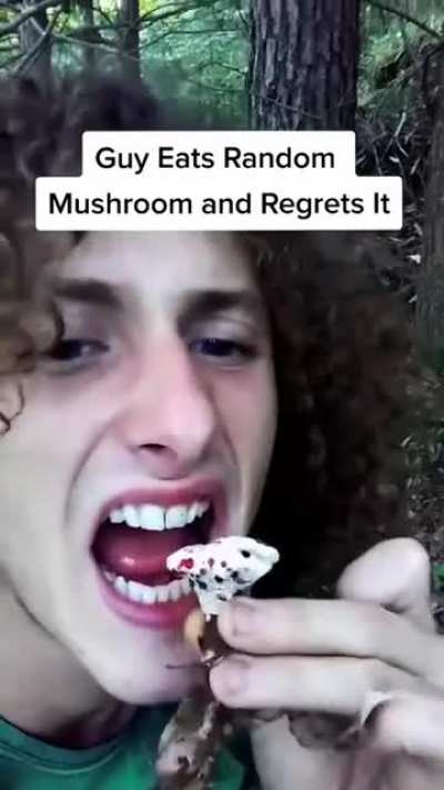 Crawling mushroom