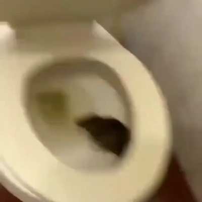 hmmm