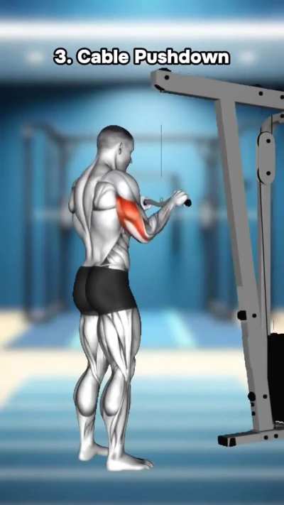 4 Highly Effective Triceps Workout to Have Huge Triceps 💪🏻