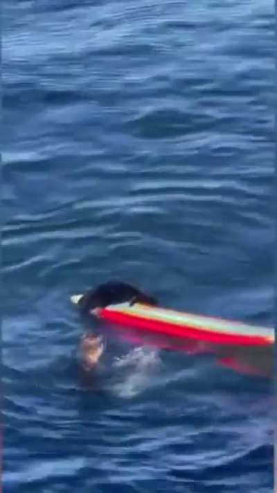 To surf
