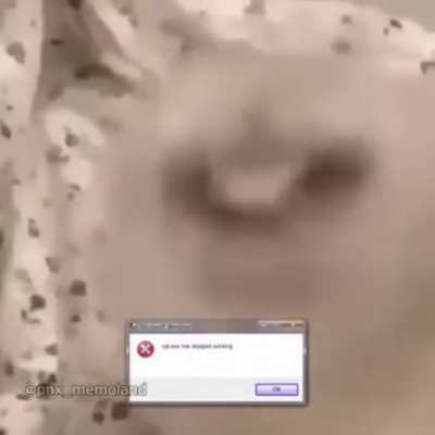 Cat.exe - Error