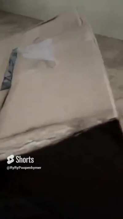 A Box Saved My Life