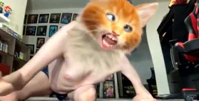 Cursed_Cat