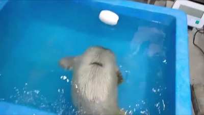 It&rsquo;s so cute