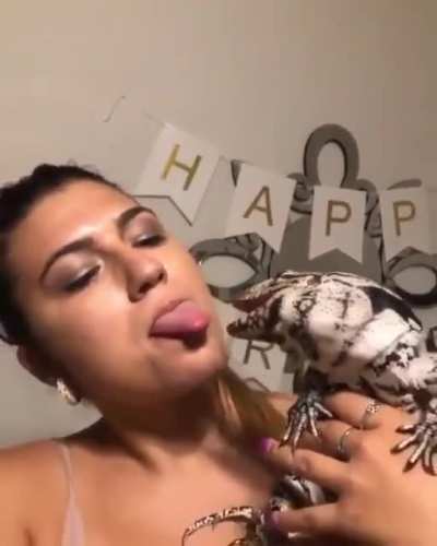 Showing tougue to a Lizard, Not a good idea.
