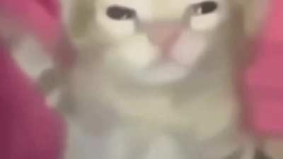 One of the videos of all time (as promised)