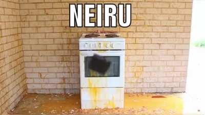 Wow Neiru sure buys a lot of eggs, I hope she doesn&rsquo;t get severely hospitalised