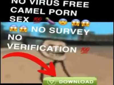 Oh god I hope this doesn&rsquo;t get taken down