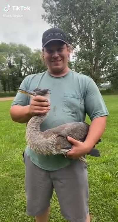 It&rsquo;s like a Steve Irwin relationship