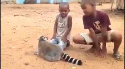 "I never told you to stop!"