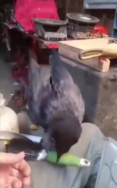 "did i say you can stop??"