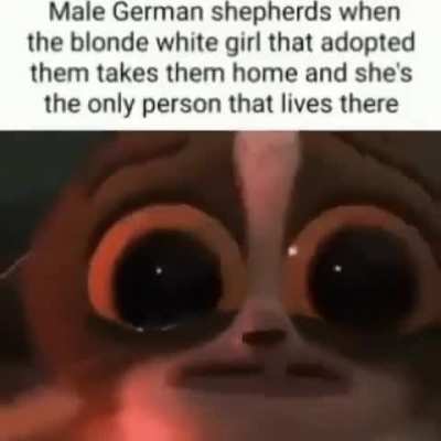 title(require)