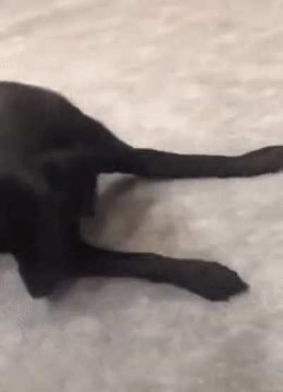 &ldquo;Where&rsquo;d my ball go?!&rdquo;