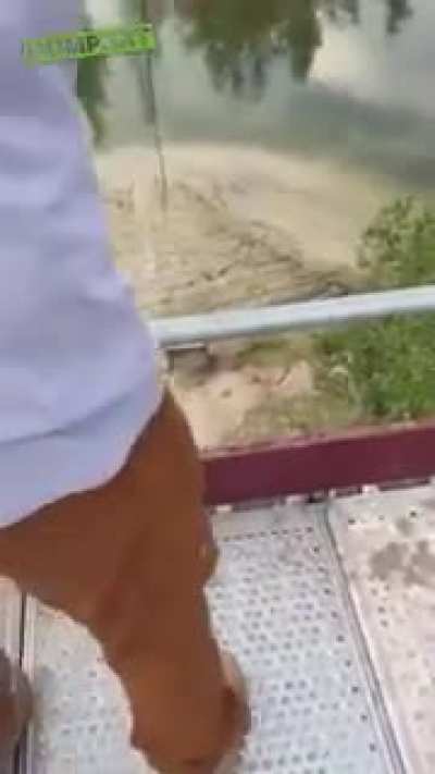HMFT after I checkn&rsquo;t the zip line