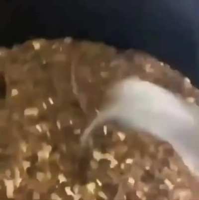 Ratatouille