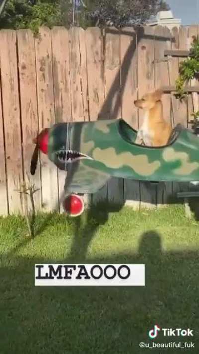 Sergeant Pupper