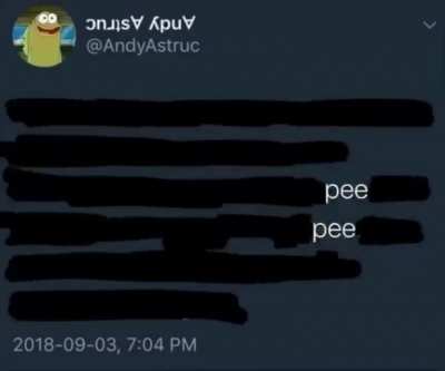 the NPC quest