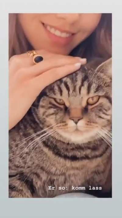 Cat Lover