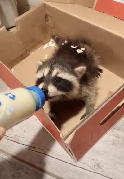 So cute. So mean