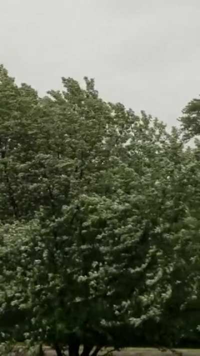 The rain isn't too bad but the wind today is crazy