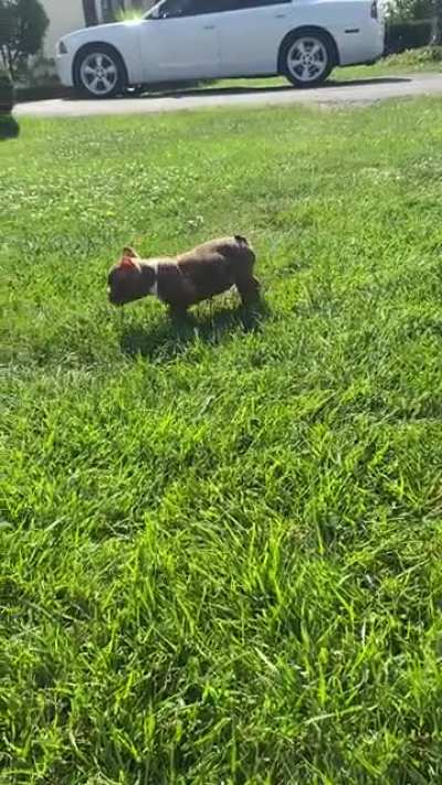 Meet Pennywise of LCB