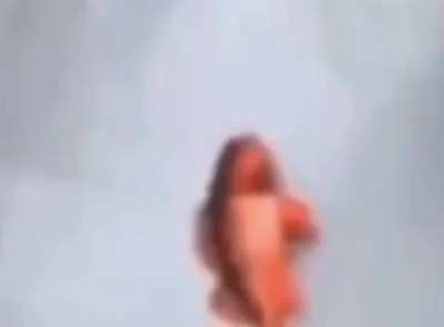 🐟