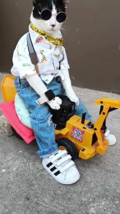 fit check