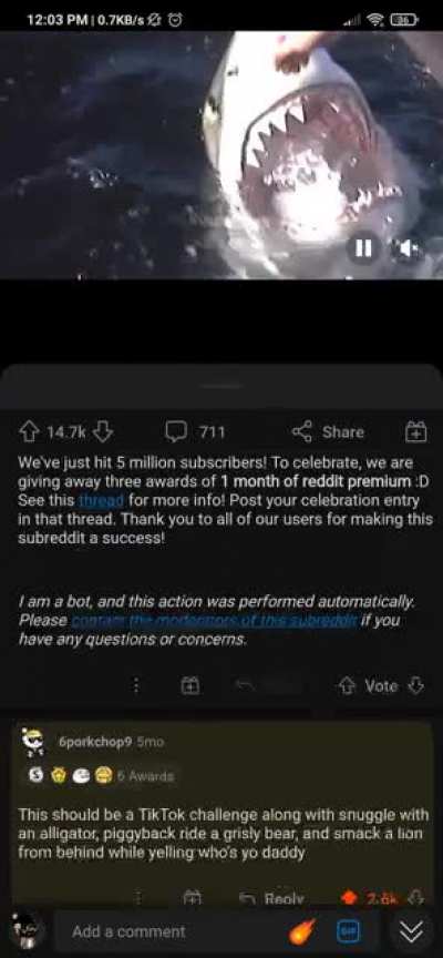 Reddit never fails to deliver...