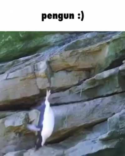 he&rsquo;s ok?