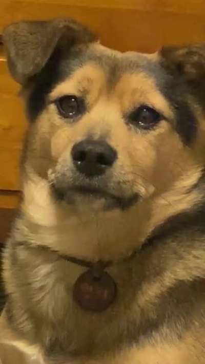 walk pls.