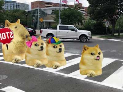 Doge do the driftering and commit vehicular manslaughter at a school's crossing"