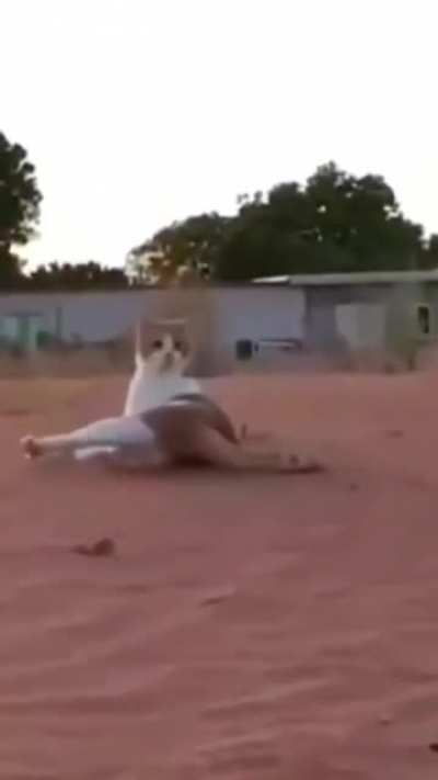 Нежданчик