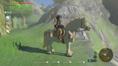 Link is a wizard