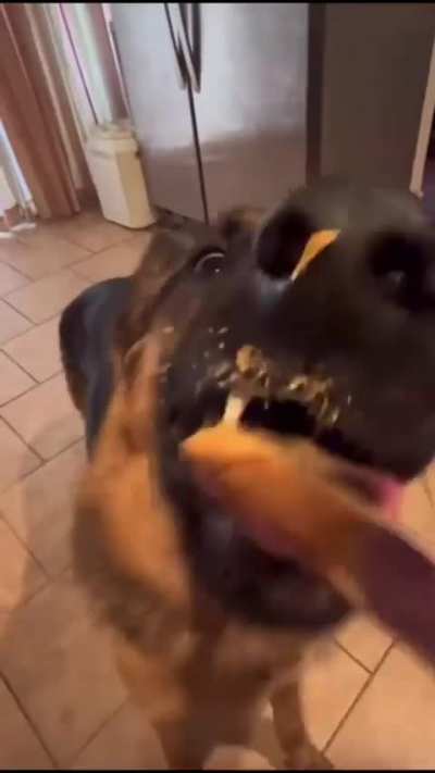 If you are feeling sad here is the video for you