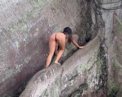 Climbing an ancient tree