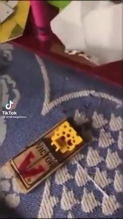 recovery 100