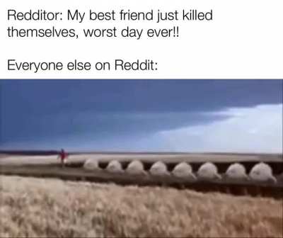 That&rsquo;s so wholesome