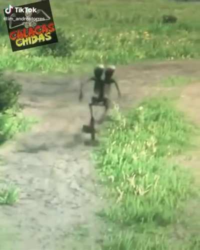 La calaca tiene raz&oacute;n joder